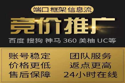 专业SEM托管：企业广告投放的明智之选